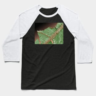 Extreme closeup detail Illustration of Stinging Nettle Baseball T-Shirt